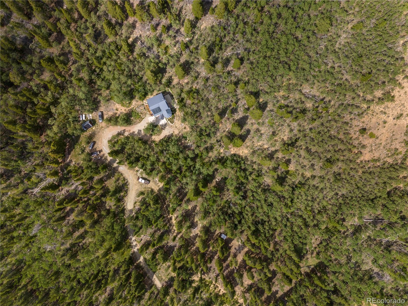 MLS Image #39 for 1384  county road 665 ,alma, Colorado