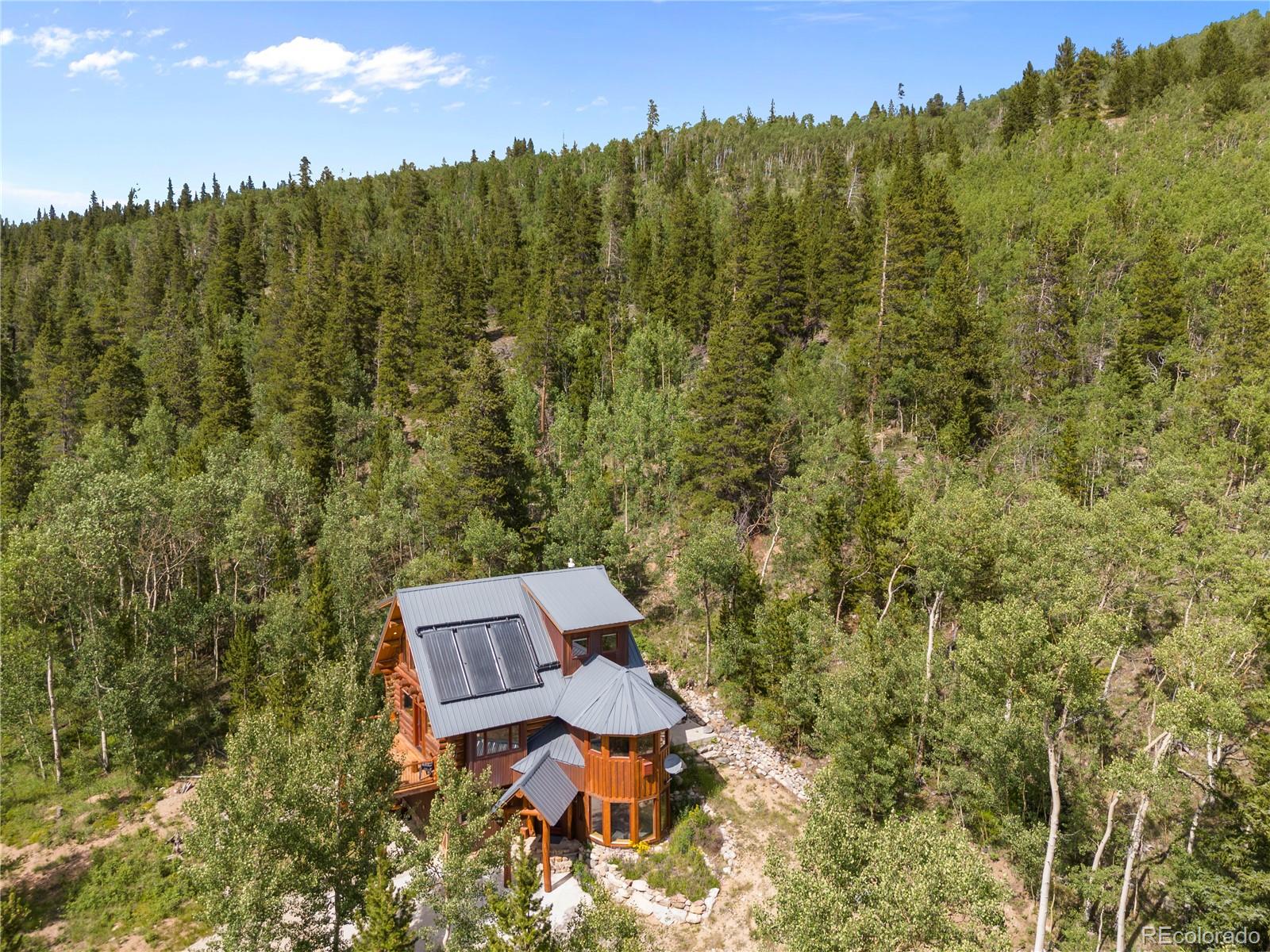 MLS Image #40 for 1384  county road 665 ,alma, Colorado