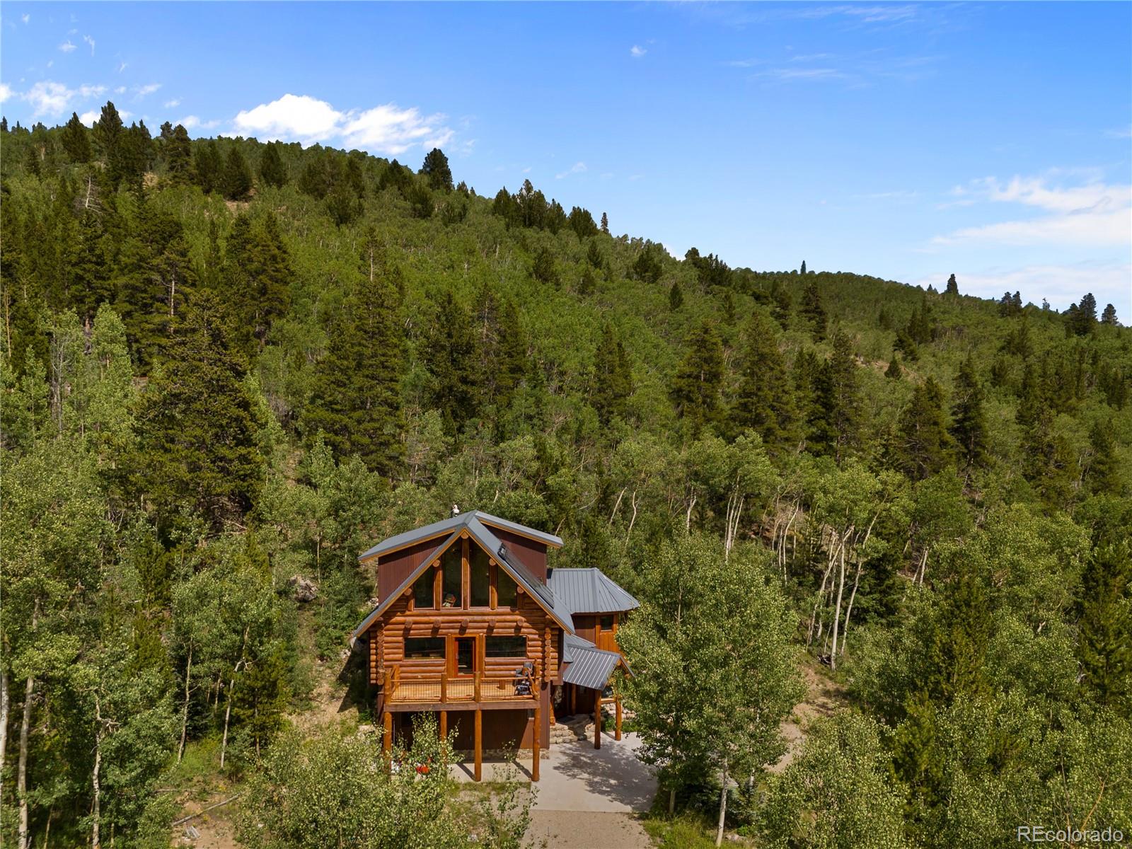 MLS Image #41 for 1384  county road 665 ,alma, Colorado