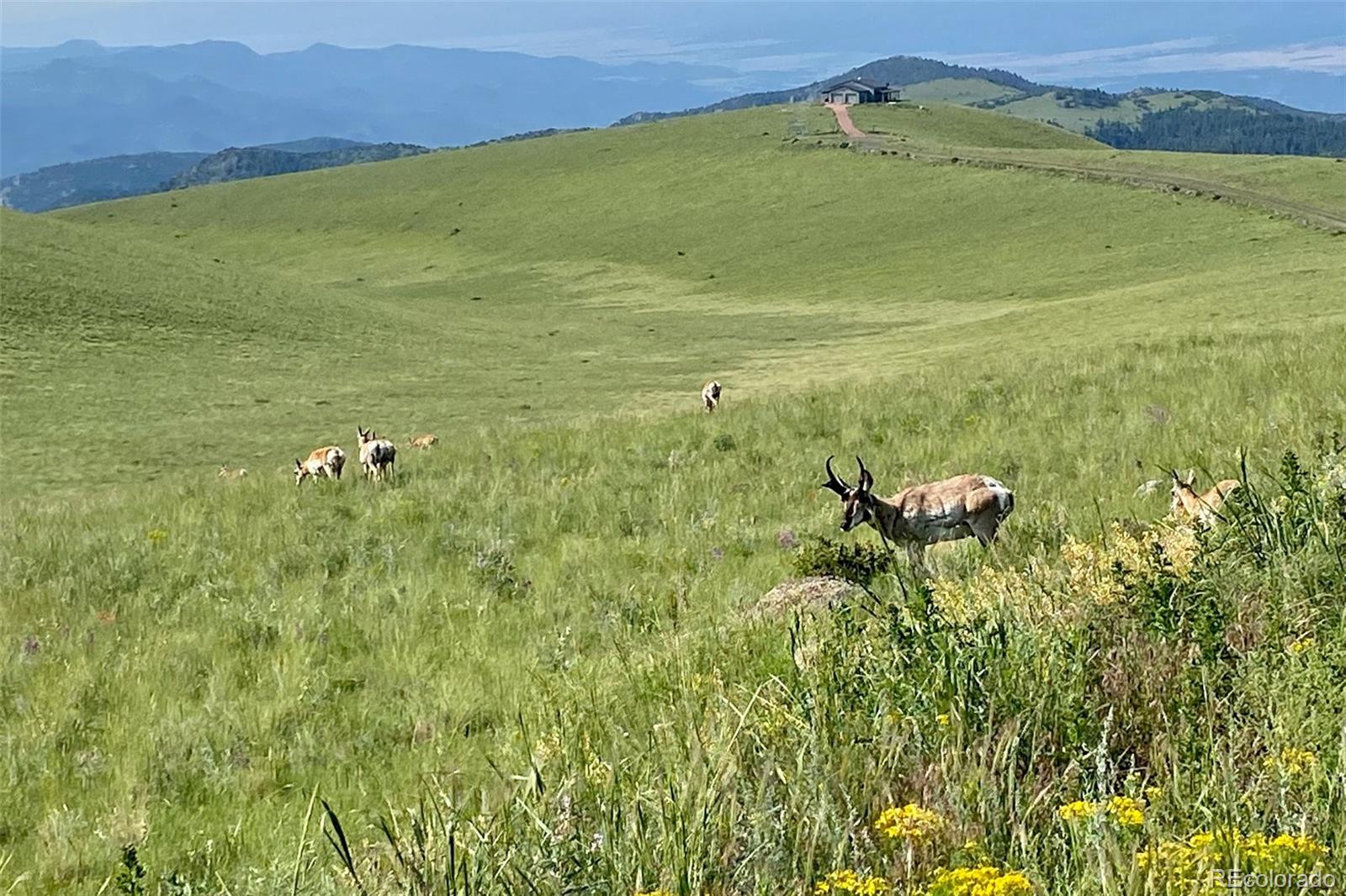 MLS Image #43 for 1590  cimarron crossing,canon city, Colorado