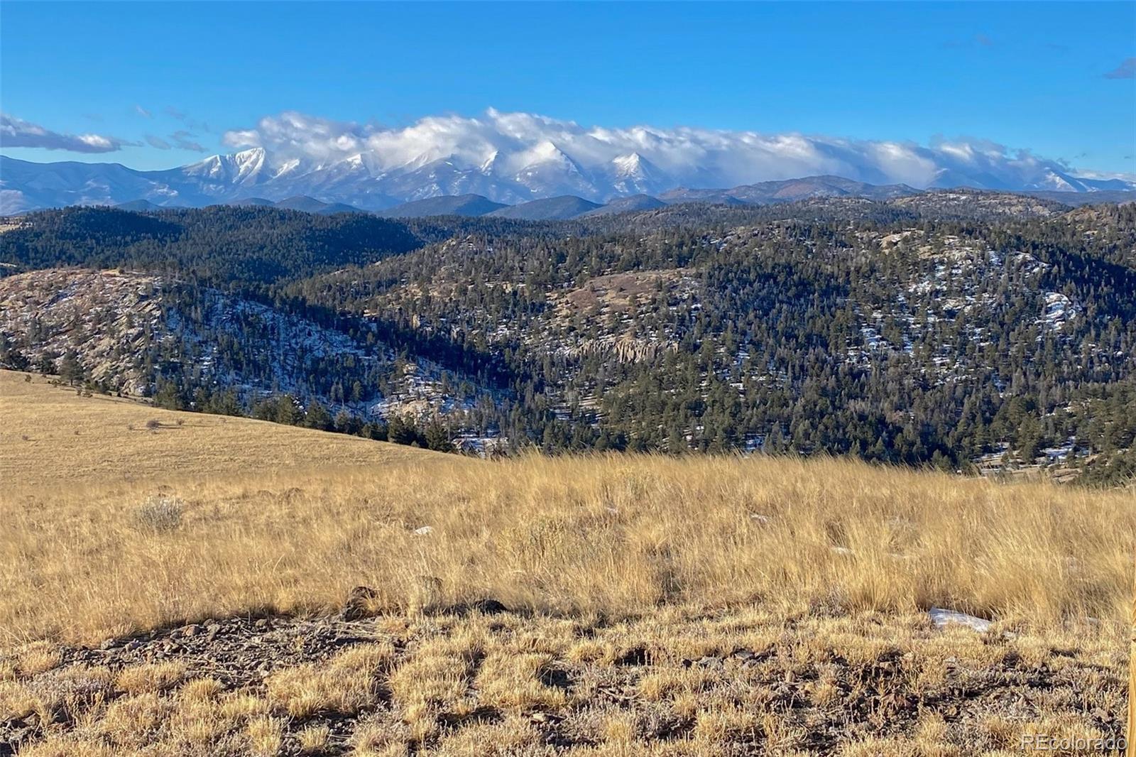 MLS Image #47 for 1590  cimarron crossing,canon city, Colorado