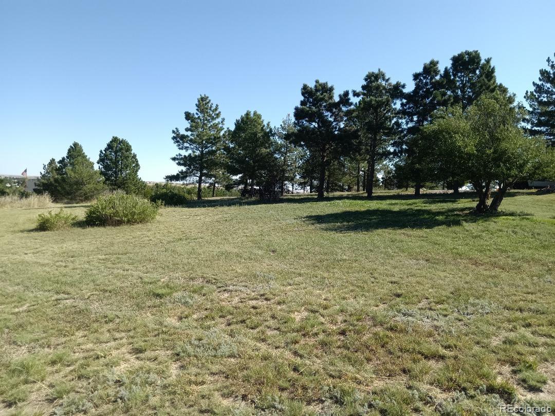 MLS Image #41 for 2040  marge court,parker, Colorado