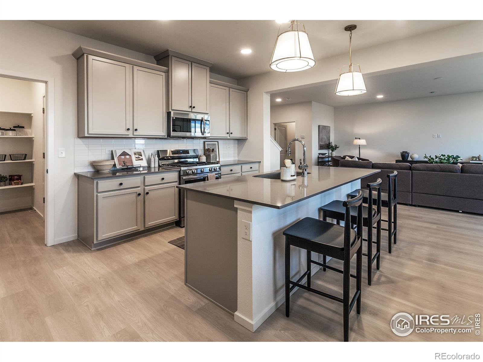 MLS Image #8 for 3142  robud farms drive,fort collins, Colorado