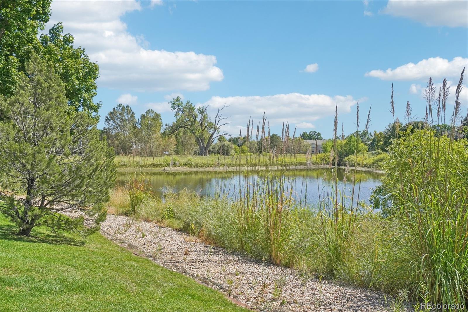 MLS Image #38 for 2154  campo court,loveland, Colorado