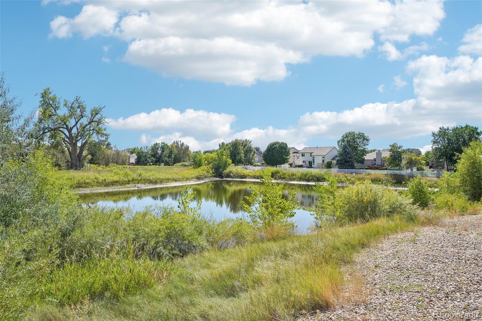 MLS Image #39 for 2154  campo court,loveland, Colorado