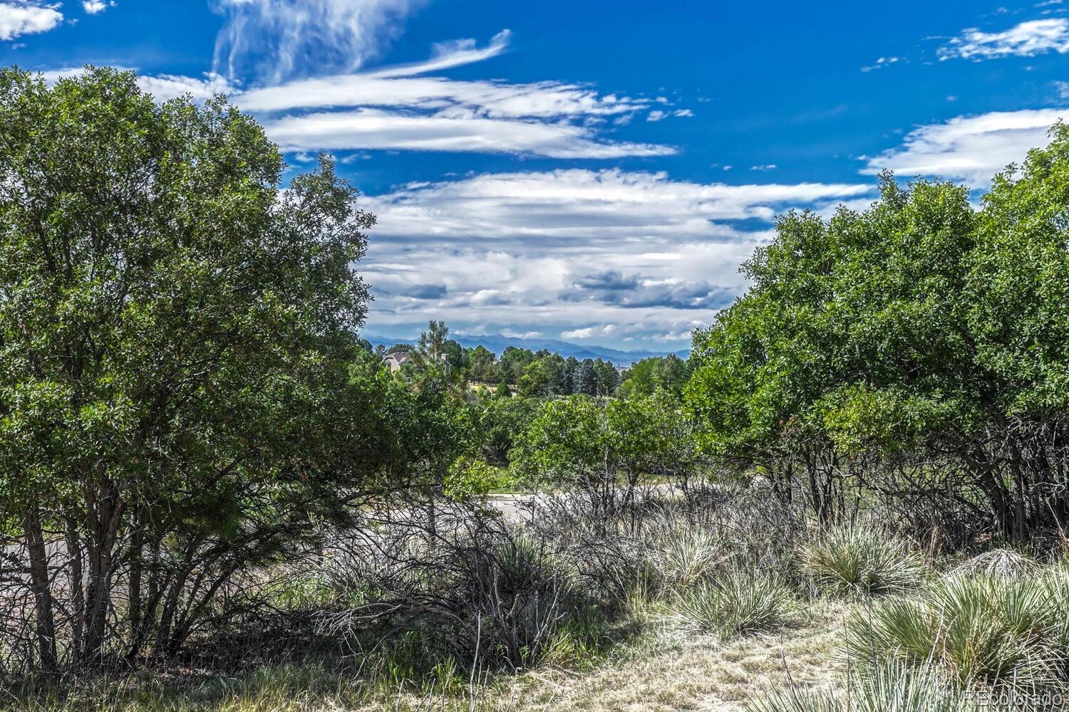 MLS Image #35 for 8777  selly road,parker, Colorado