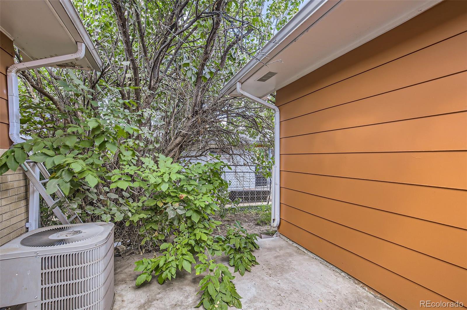 MLS Image #31 for 1100  tulip street,longmont, Colorado