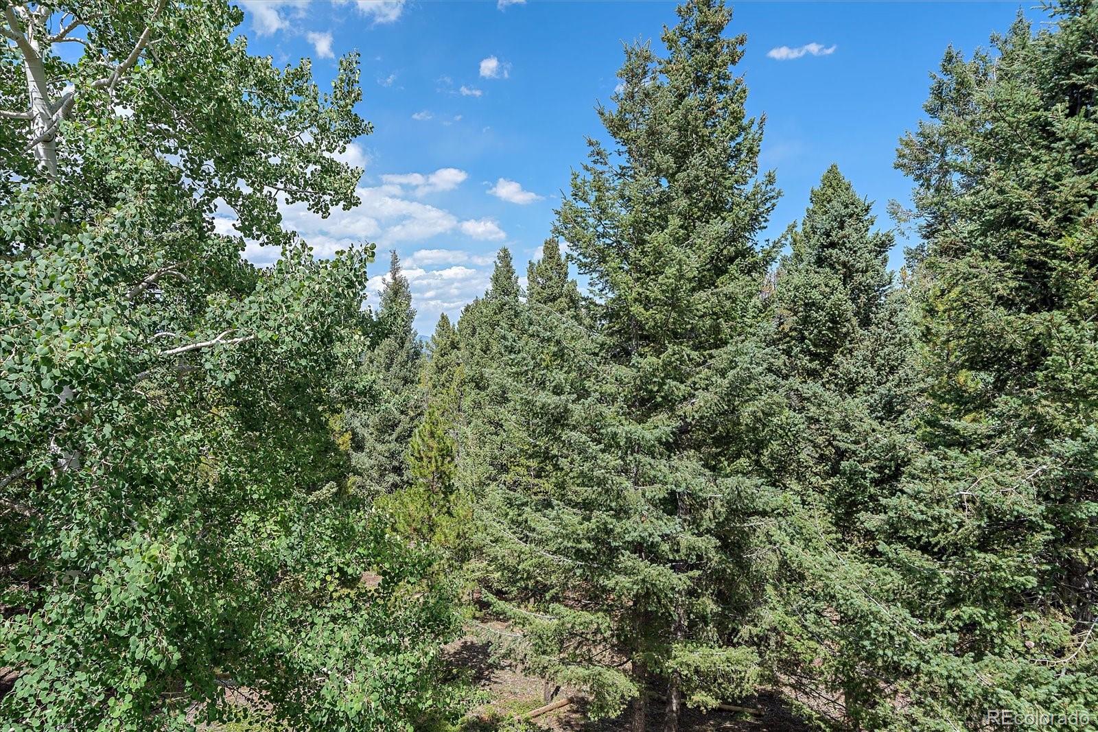 MLS Image #39 for 9730 s warhawk road,conifer, Colorado