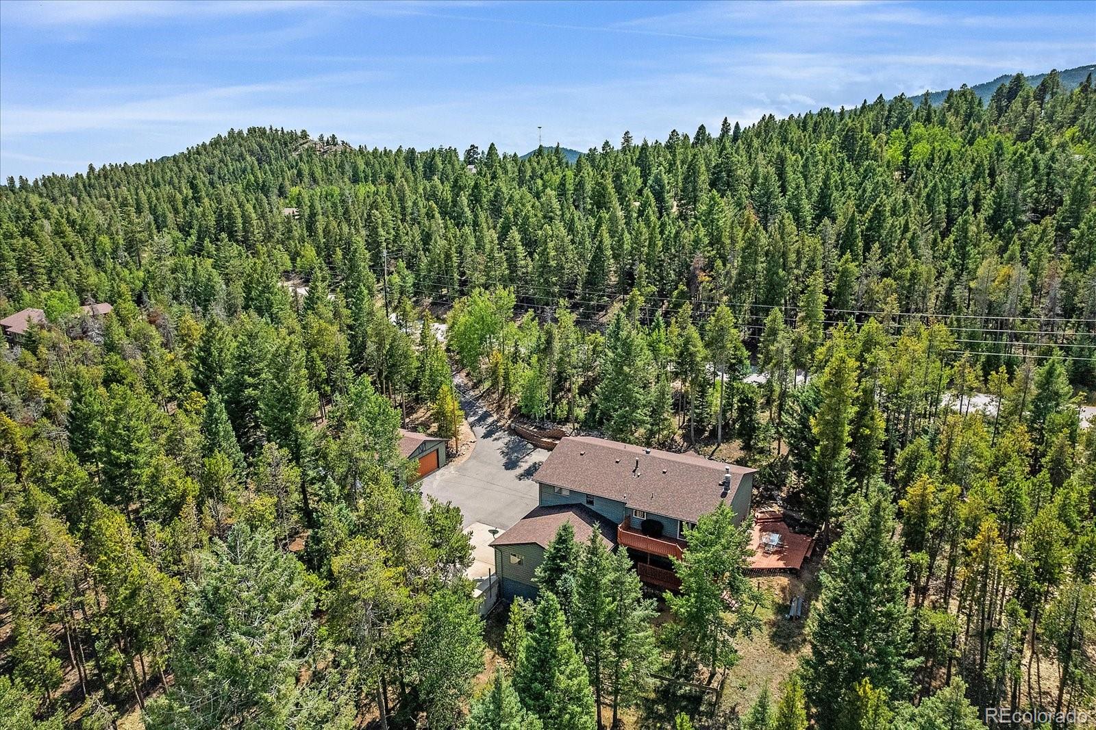 MLS Image #41 for 9730 s warhawk road,conifer, Colorado