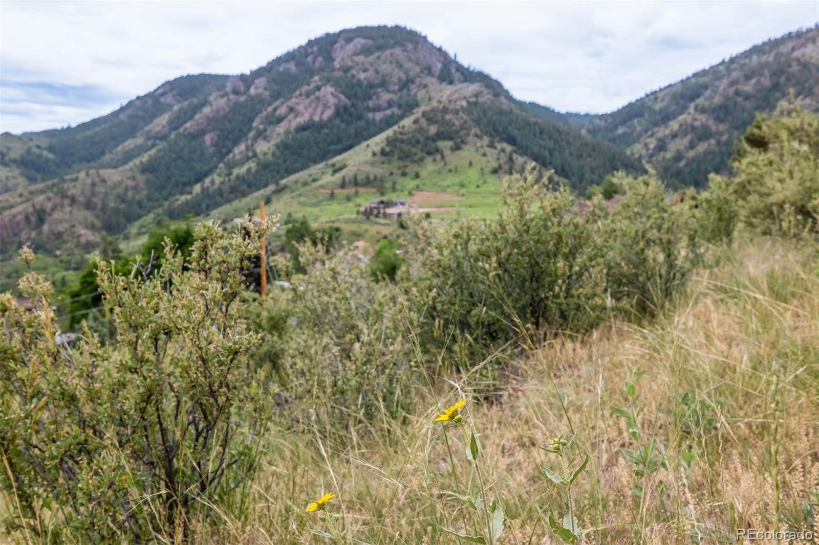 MLS Image #28 for 2681  grapevine road,idledale, Colorado