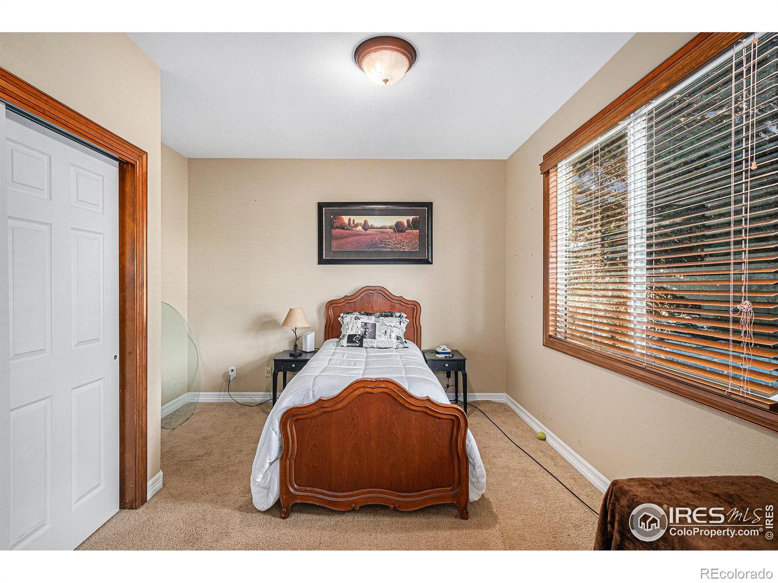 MLS Image #22 for 1703  spring wagon drive,loveland, Colorado