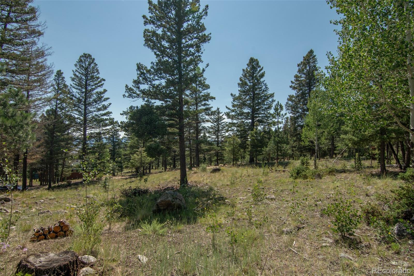 MLS Image #42 for 18882  monte escondido drive,buena vista, Colorado