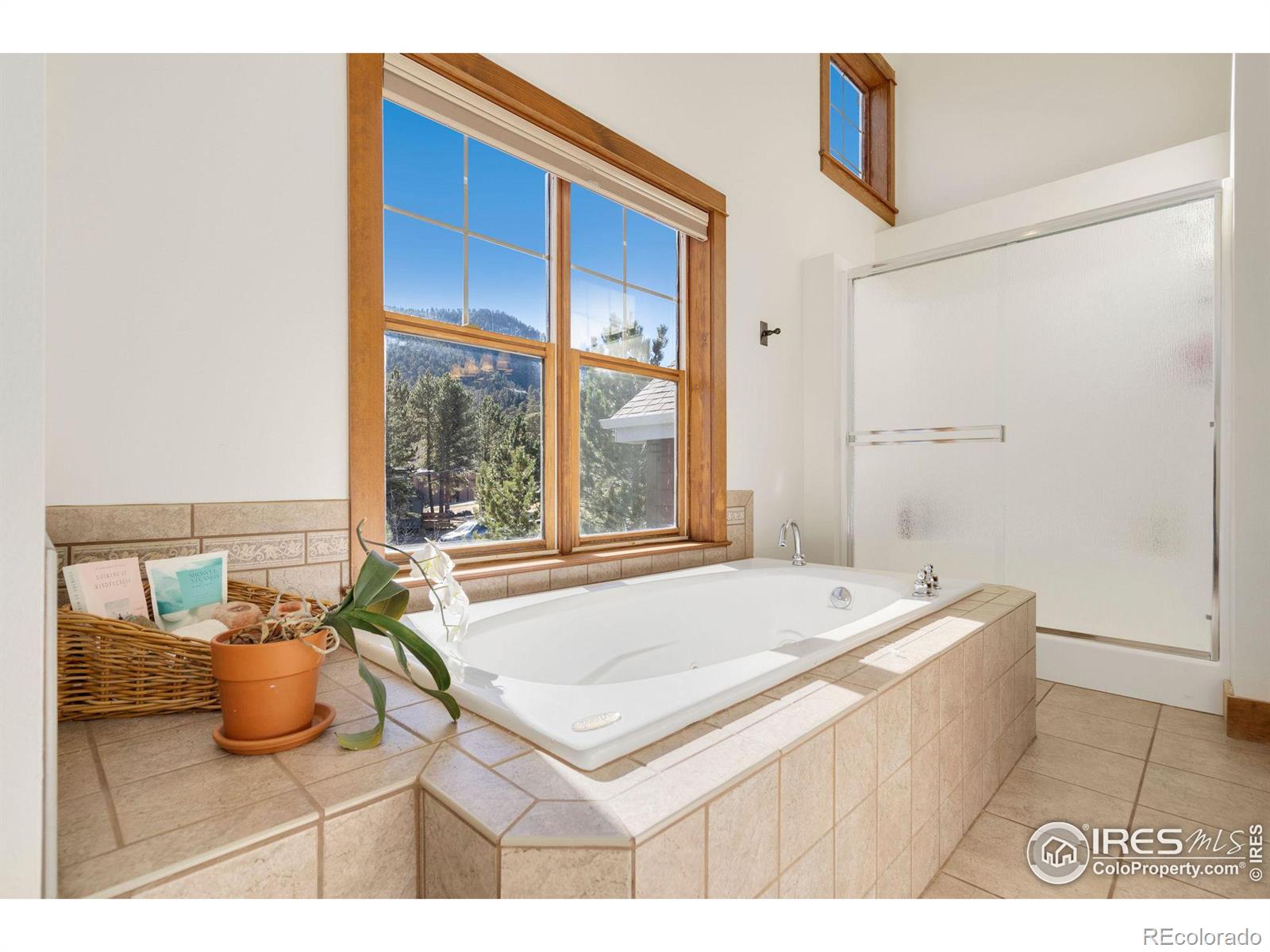 MLS Image #19 for 168  stanley cir dr,estes park, Colorado