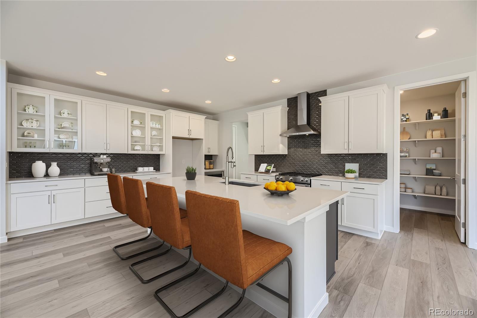MLS Image #6 for 11077  star fall street,littleton, Colorado