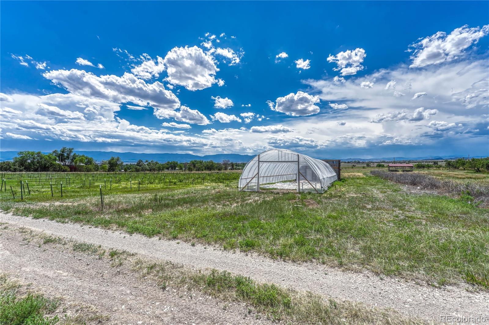 MLS Image #46 for 1183  2nd street,penrose, Colorado