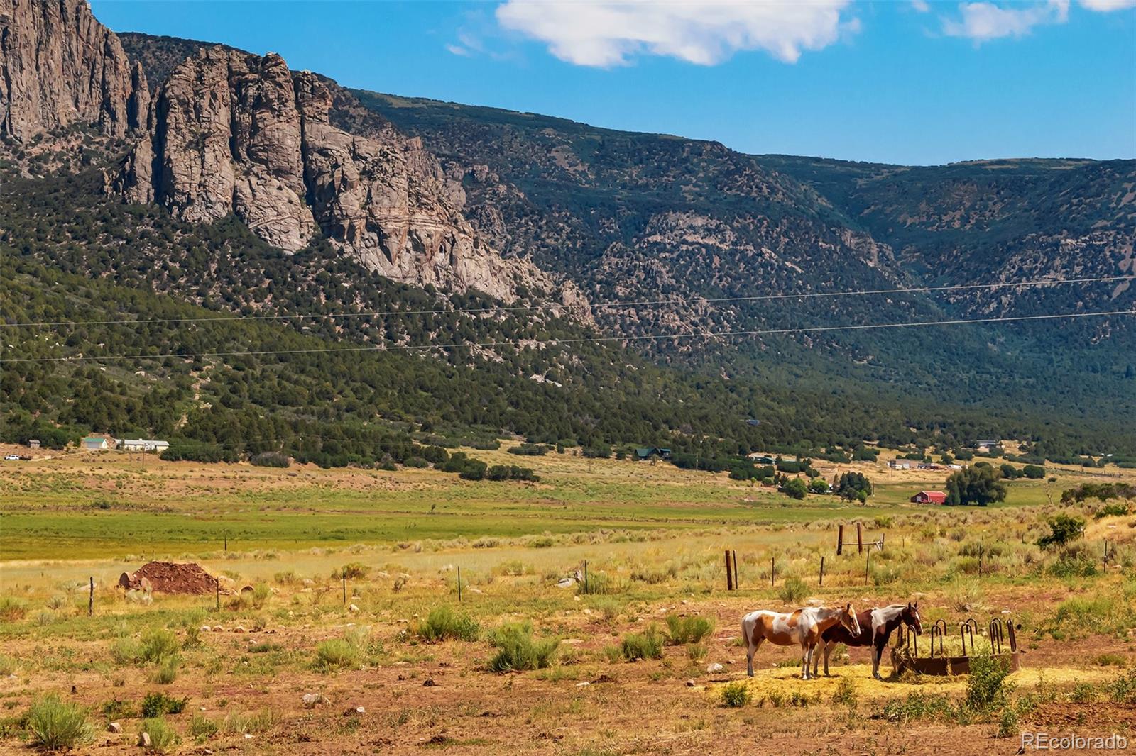 MLS Image #21 for 26101 & 246  16 1/10ths road,whitewater, Colorado