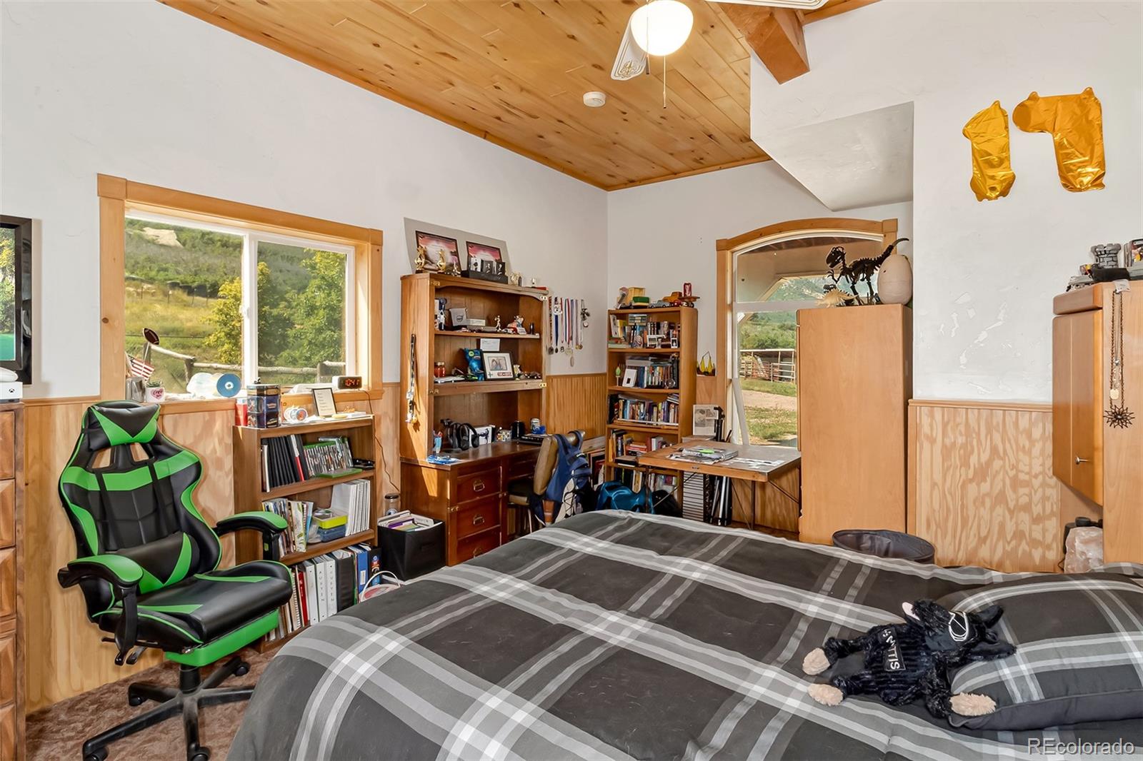 MLS Image #36 for 26101 & 246  16 1/10ths road,whitewater, Colorado