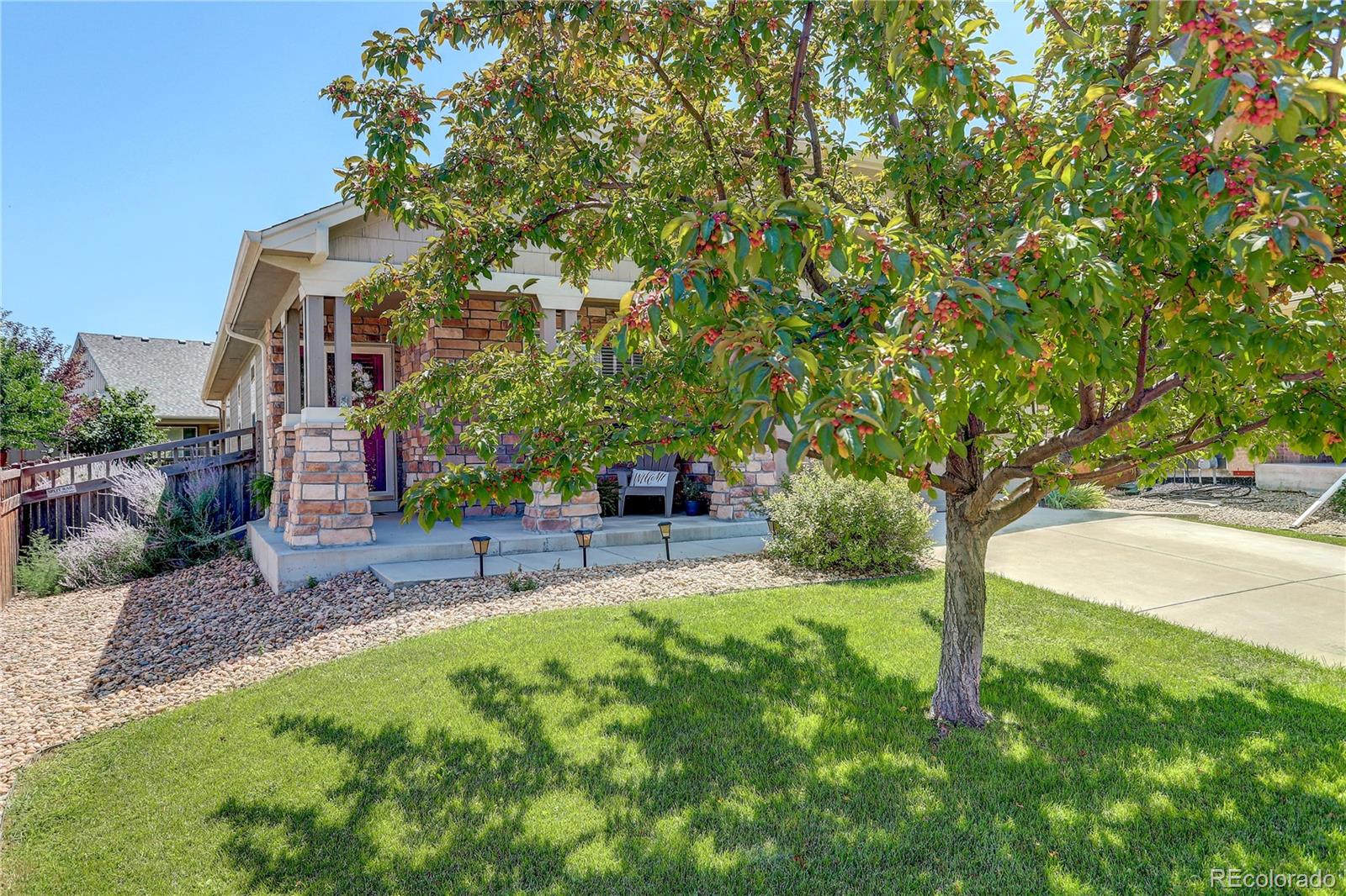 MLS Image #2 for 162  blue stem street,brighton, Colorado