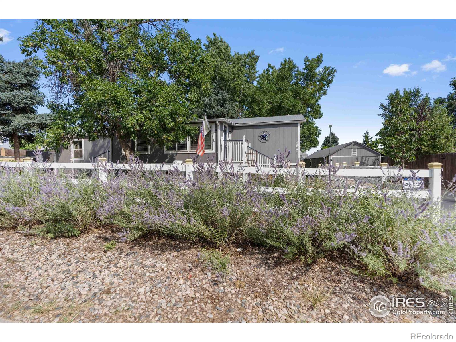 MLS Image #3 for 4501  casa grande drive,greeley, Colorado