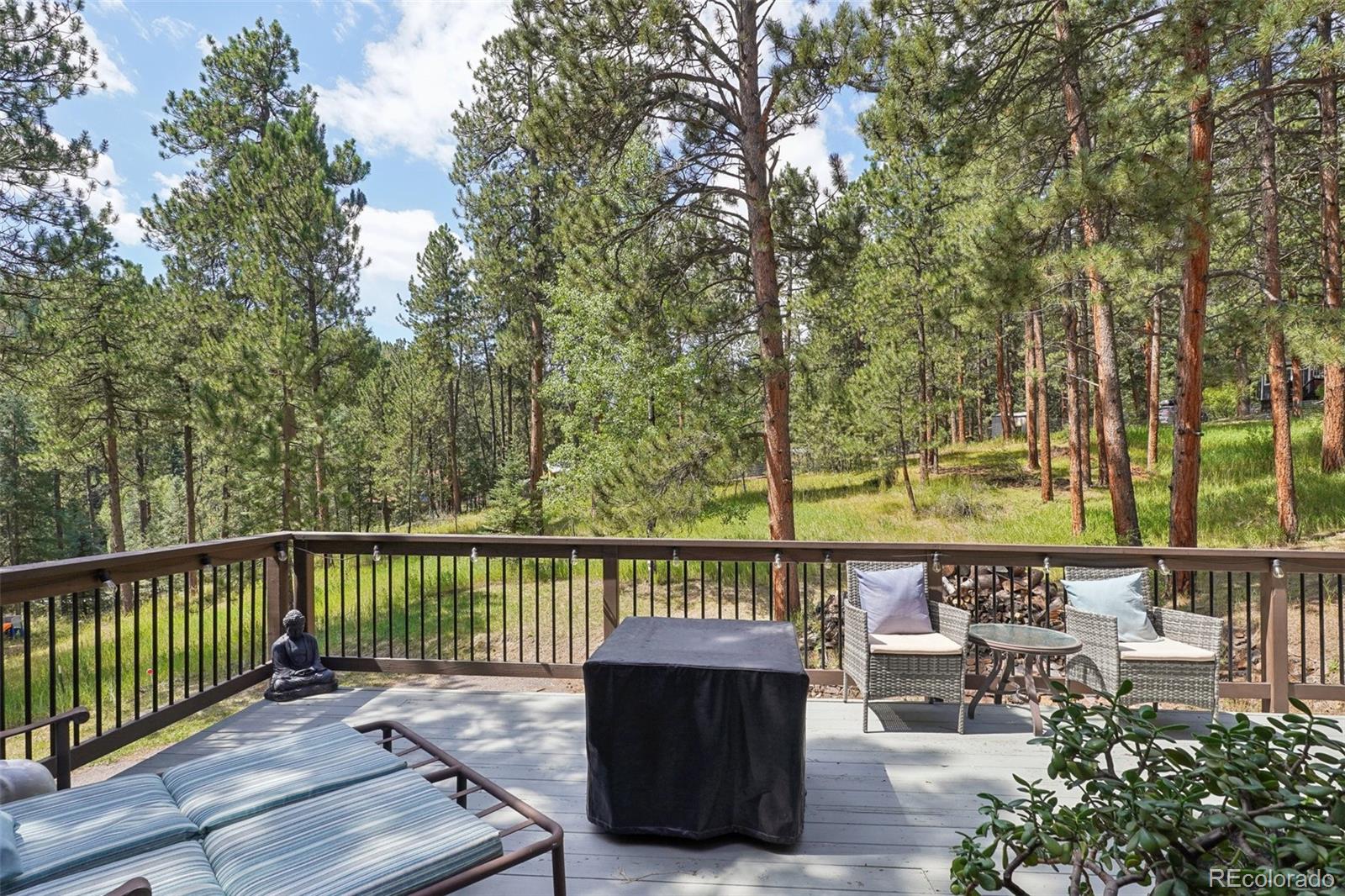 MLS Image #24 for 6997 s columbine road,evergreen, Colorado