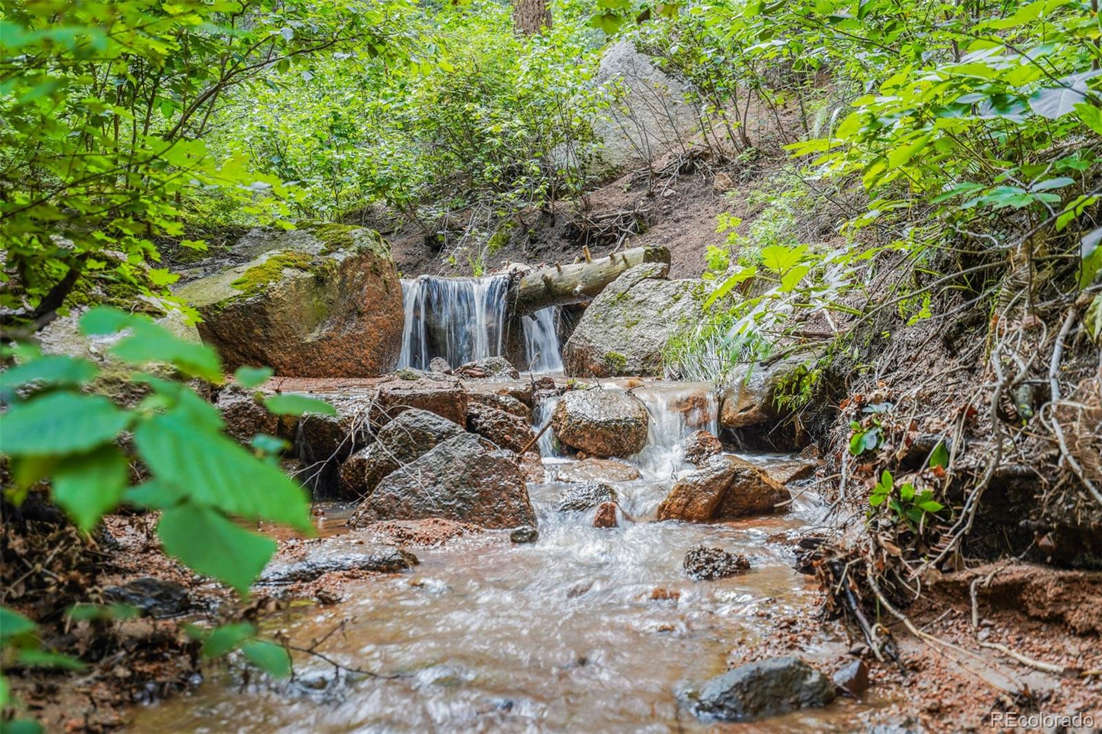 MLS Image #3 for 4775  neeper valley road,manitou springs, Colorado