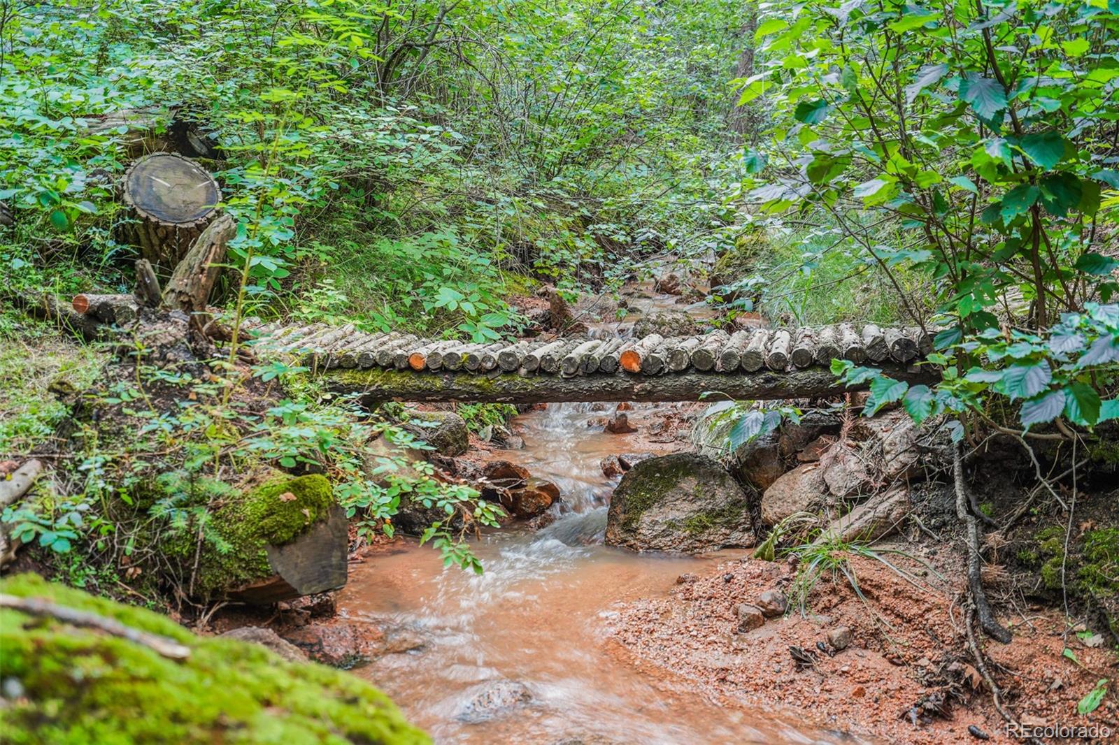 MLS Image #43 for 4775  neeper valley road,manitou springs, Colorado