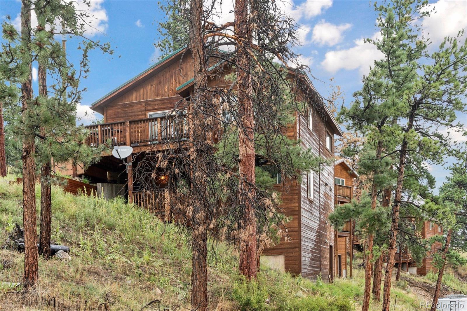 MLS Image #0 for 208  virginia road,bailey, Colorado