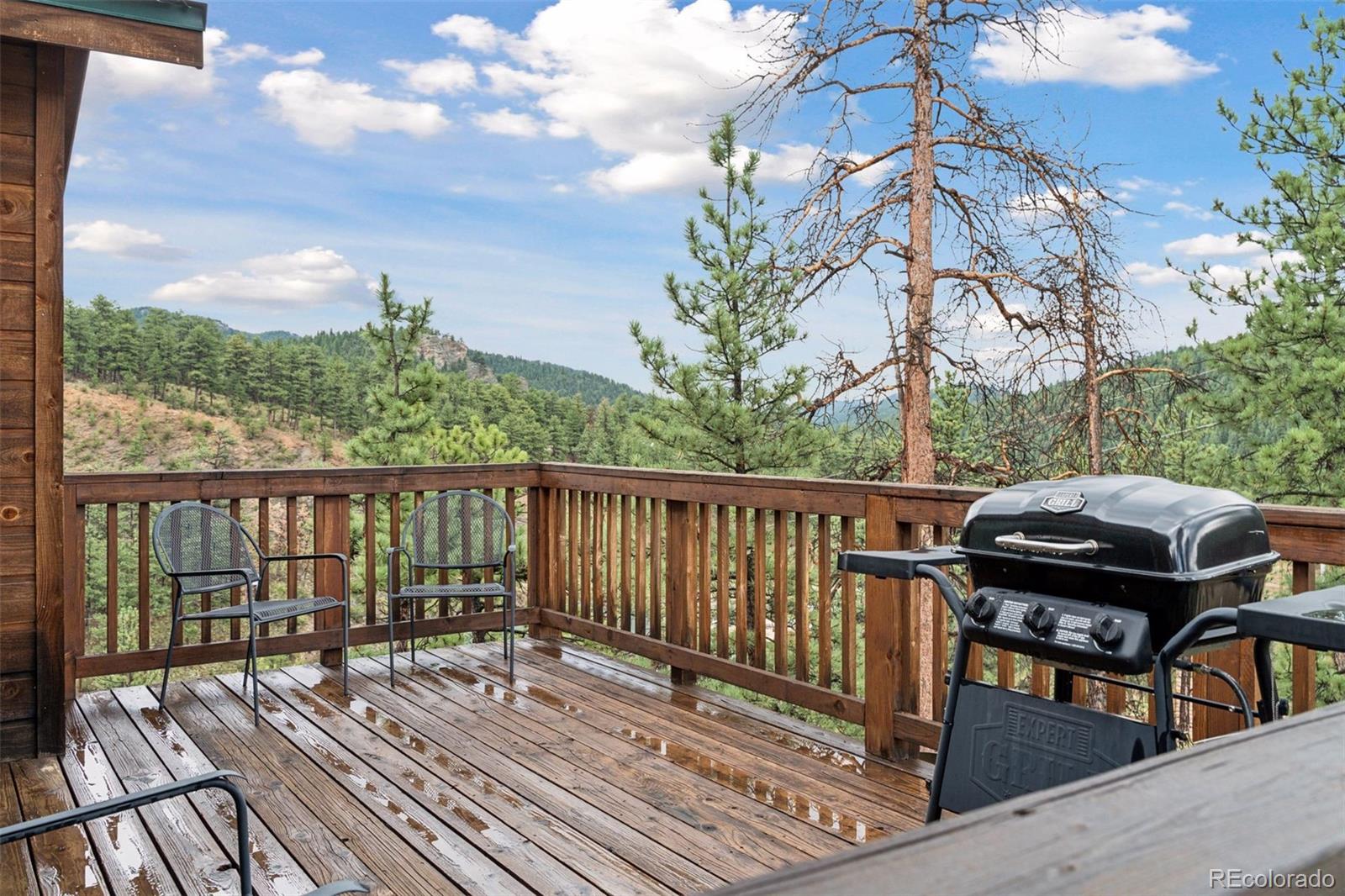 MLS Image #15 for 208  virginia road,bailey, Colorado