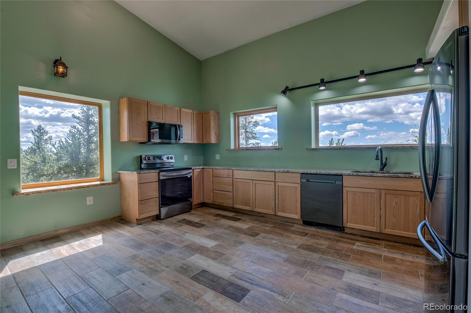 MLS Image #15 for 169  arctic cat lane,fairplay, Colorado