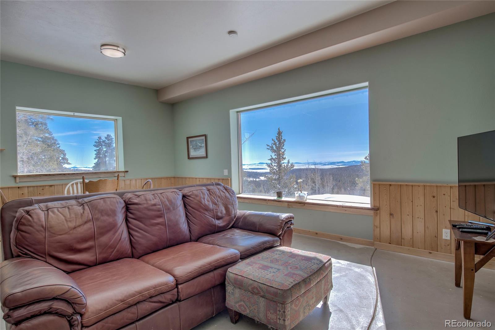 MLS Image #31 for 169  arctic cat lane,fairplay, Colorado