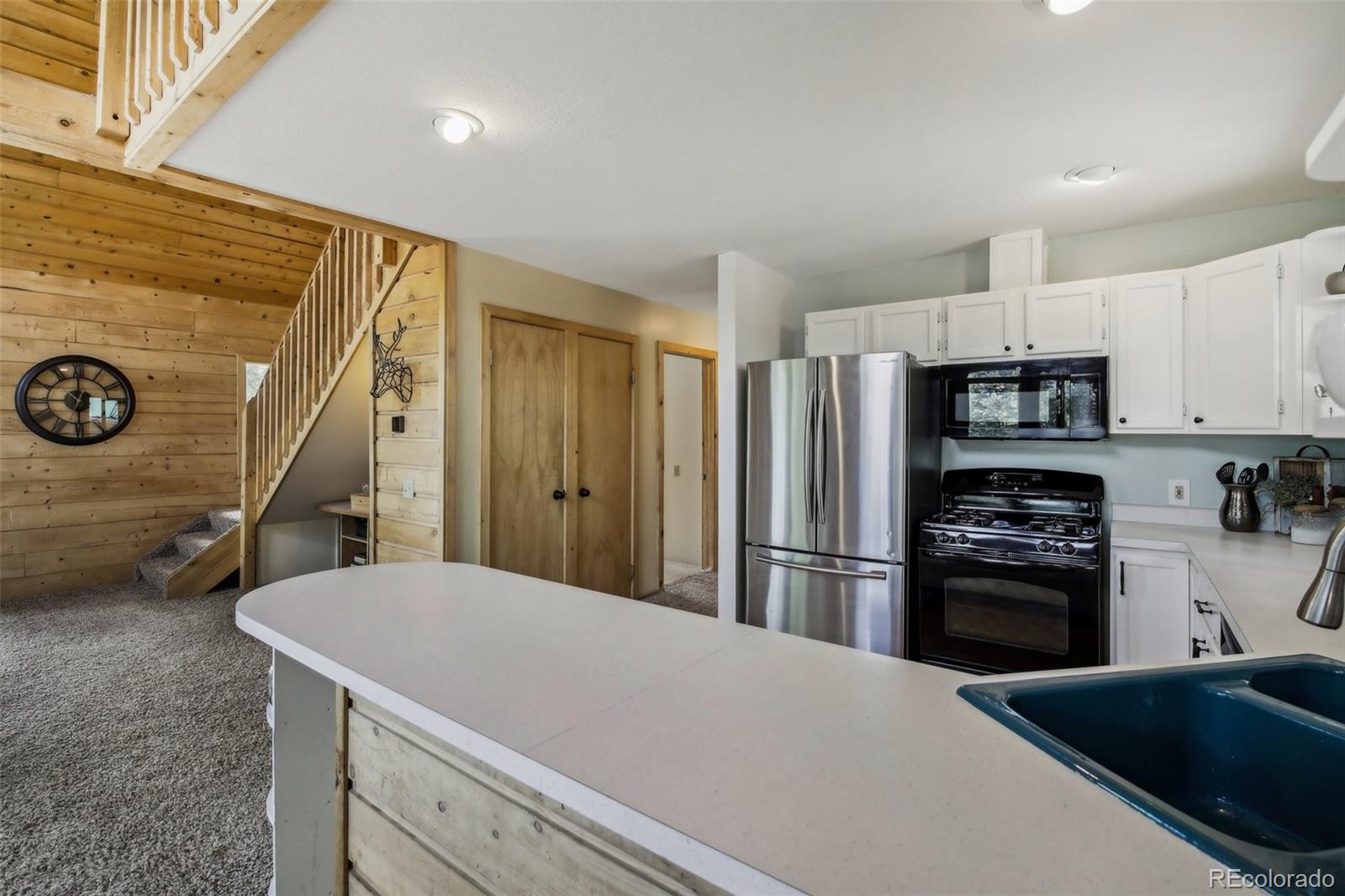 MLS Image #9 for 179  rainier drive,florissant, Colorado