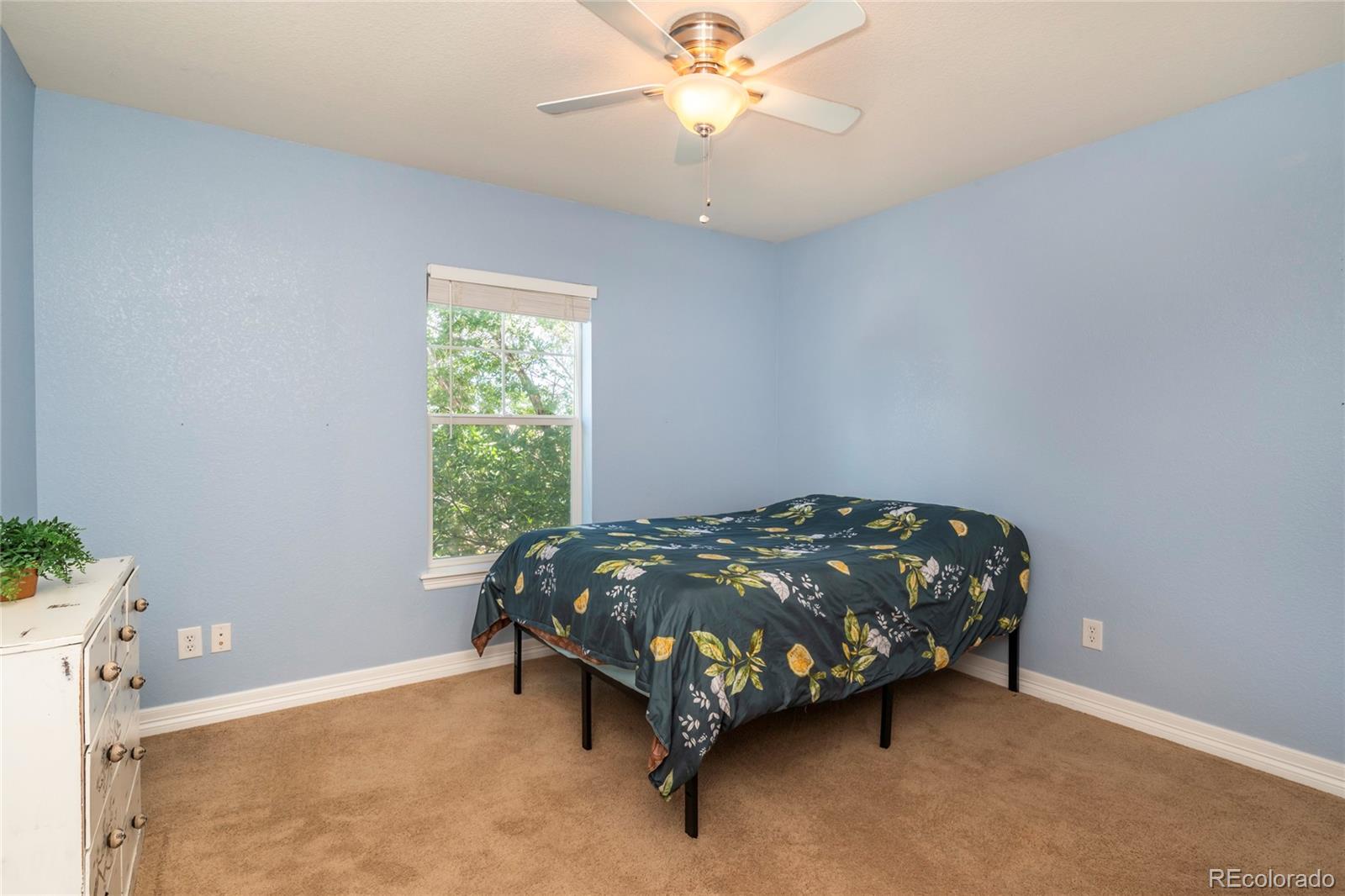 MLS Image #20 for 241  olympia avenue,longmont, Colorado