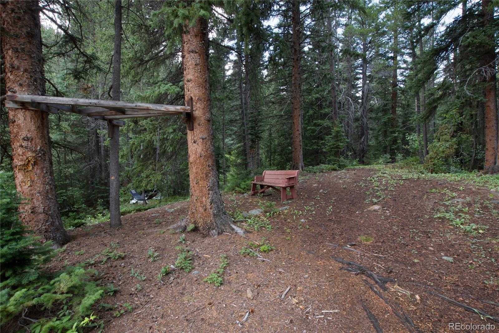 MLS Image #7 for 940  rainbow road,idaho springs, Colorado