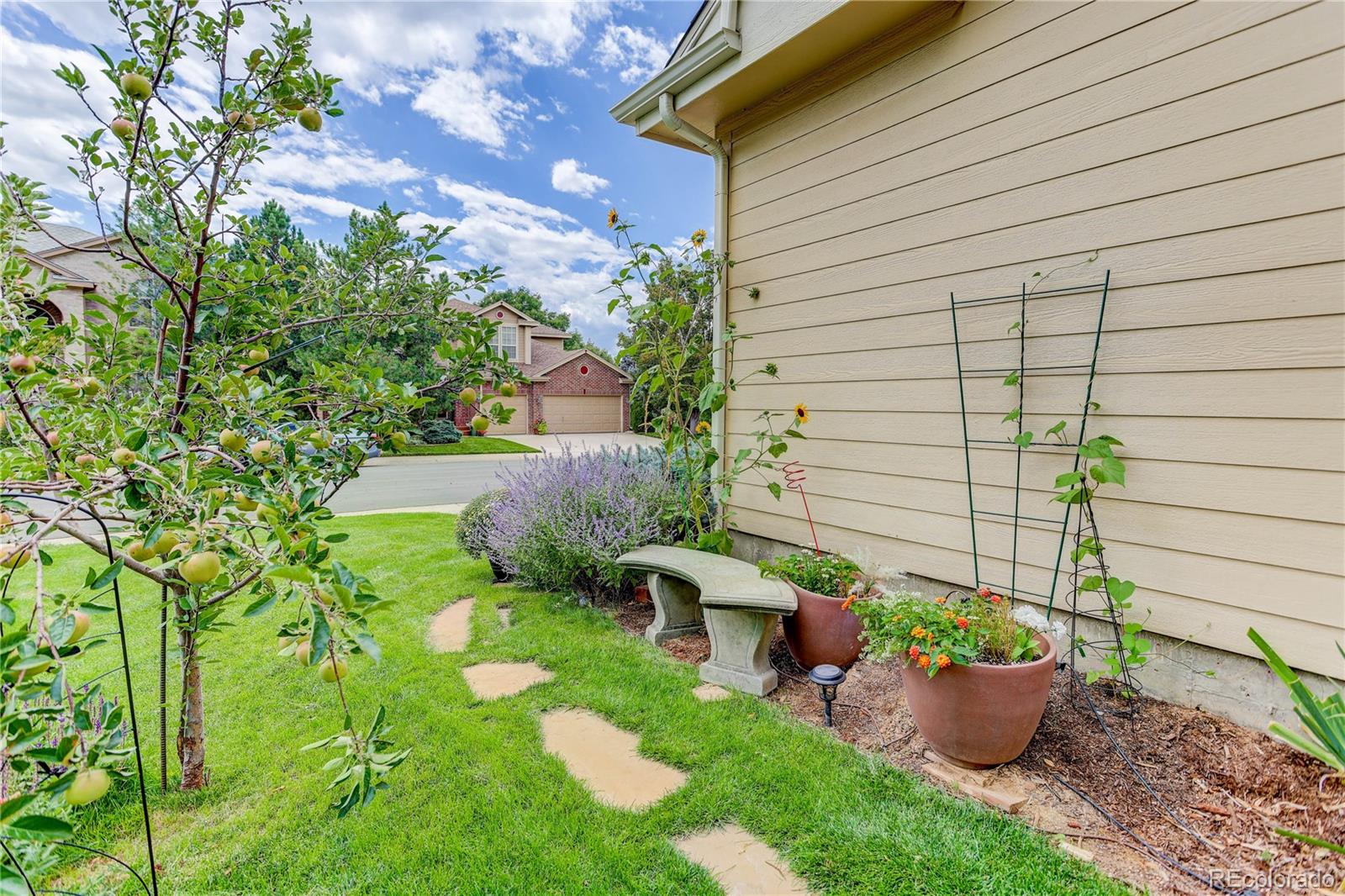 MLS Image #48 for 258  sylvestor place,highlands ranch, Colorado