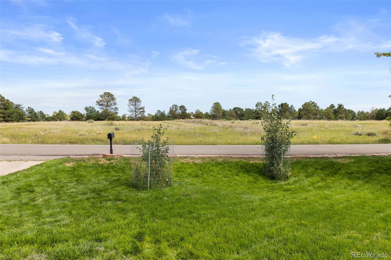 MLS Image #42 for 8677  thunderbird circle,parker, Colorado