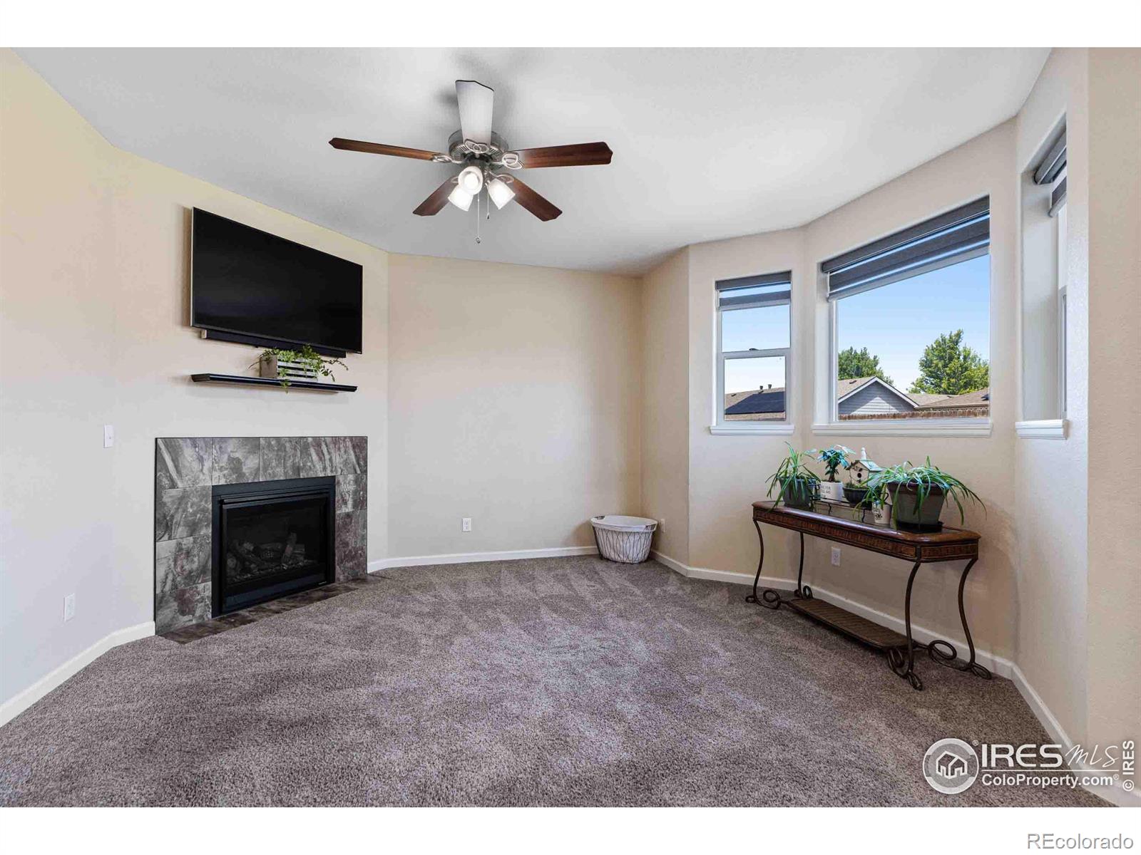 MLS Image #14 for 532 s carriage drive,milliken, Colorado