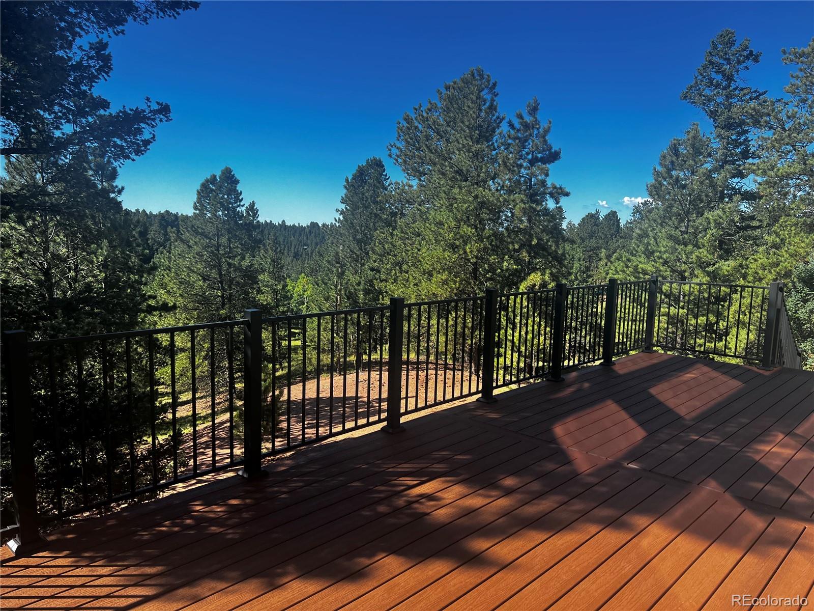 MLS Image #35 for 724  pinewood road,florissant, Colorado