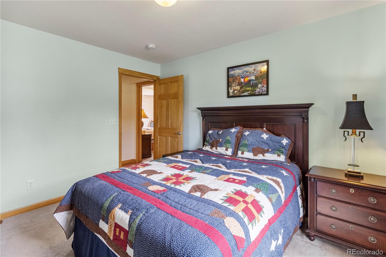 MLS Image #24 for 38391  county road 77 ,lake george, Colorado