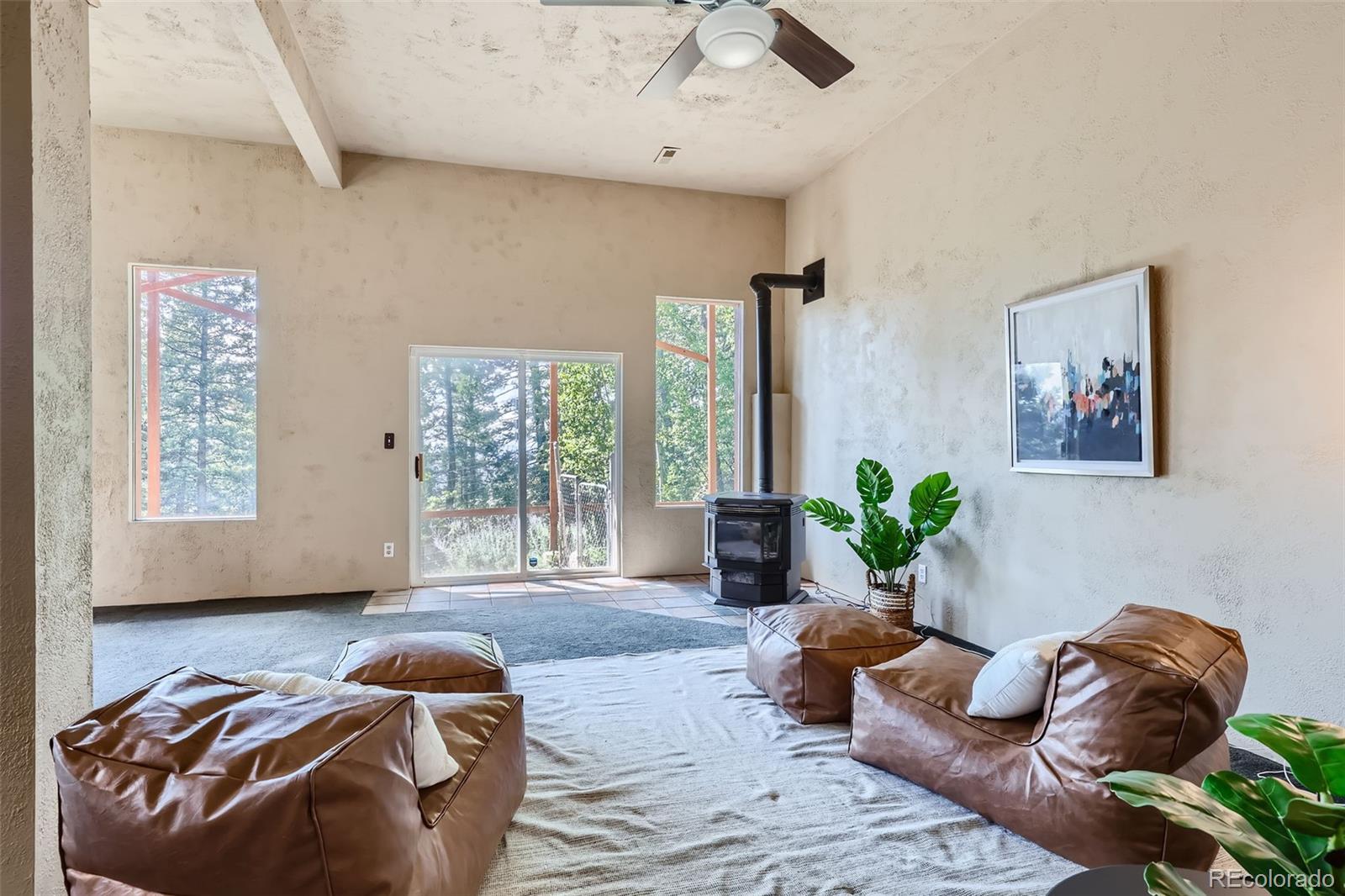 MLS Image #21 for 31524  kings valley drive,conifer, Colorado