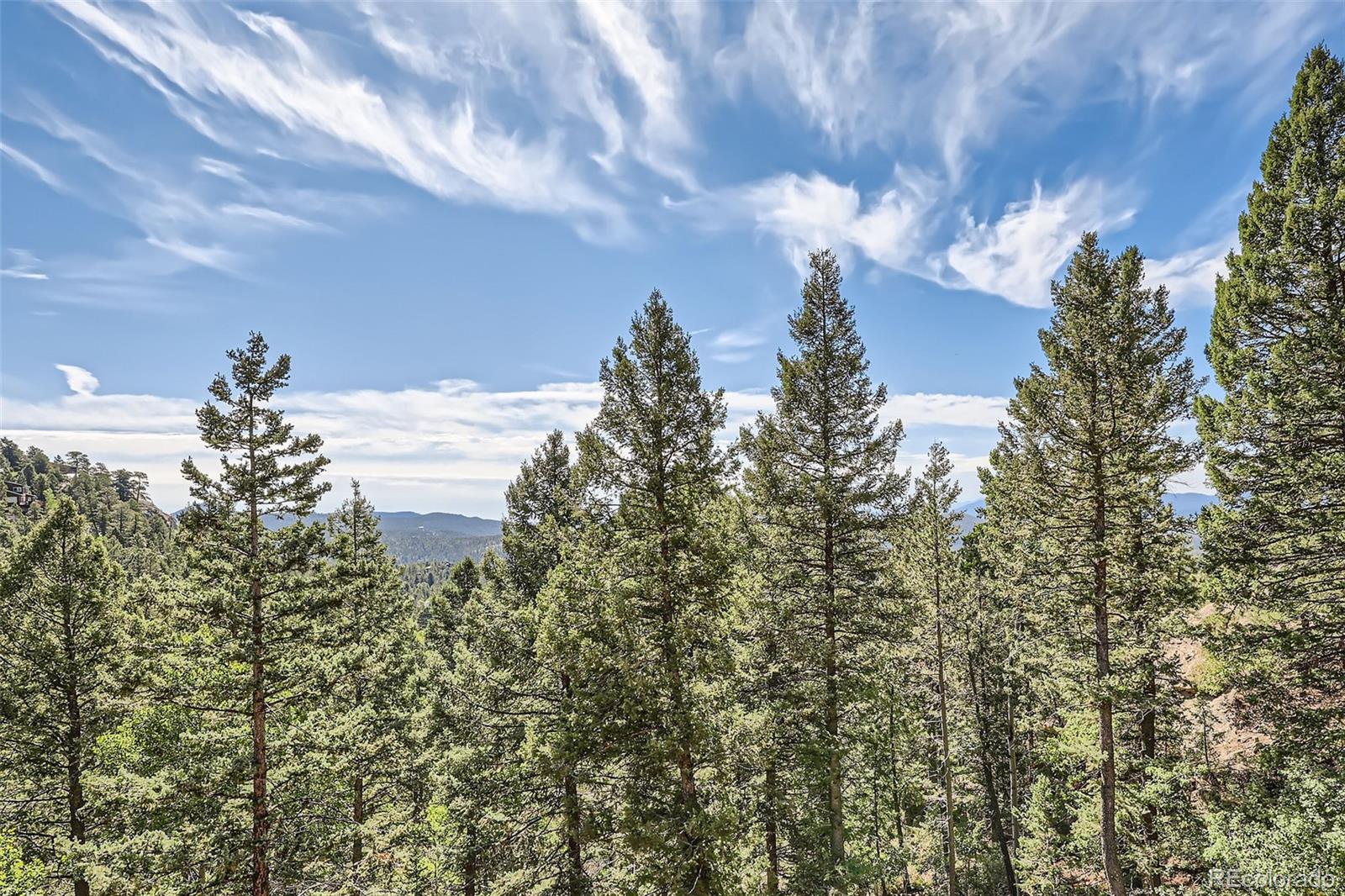 MLS Image #25 for 31524  kings valley drive,conifer, Colorado