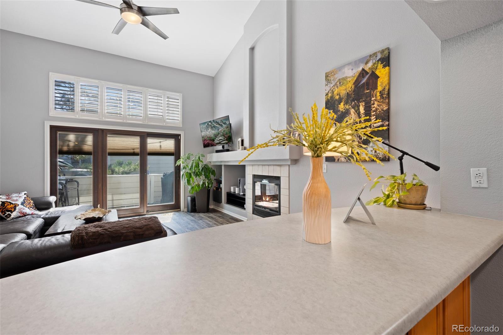 MLS Image #12 for 4124 e hinsdale circle,centennial, Colorado