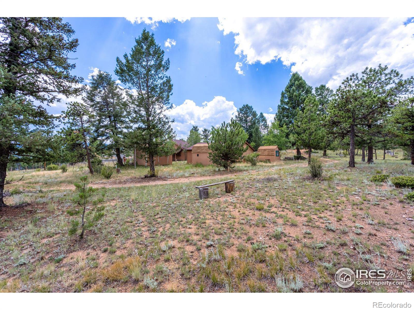 MLS Image #25 for 13262 s wasatch street,pine, Colorado