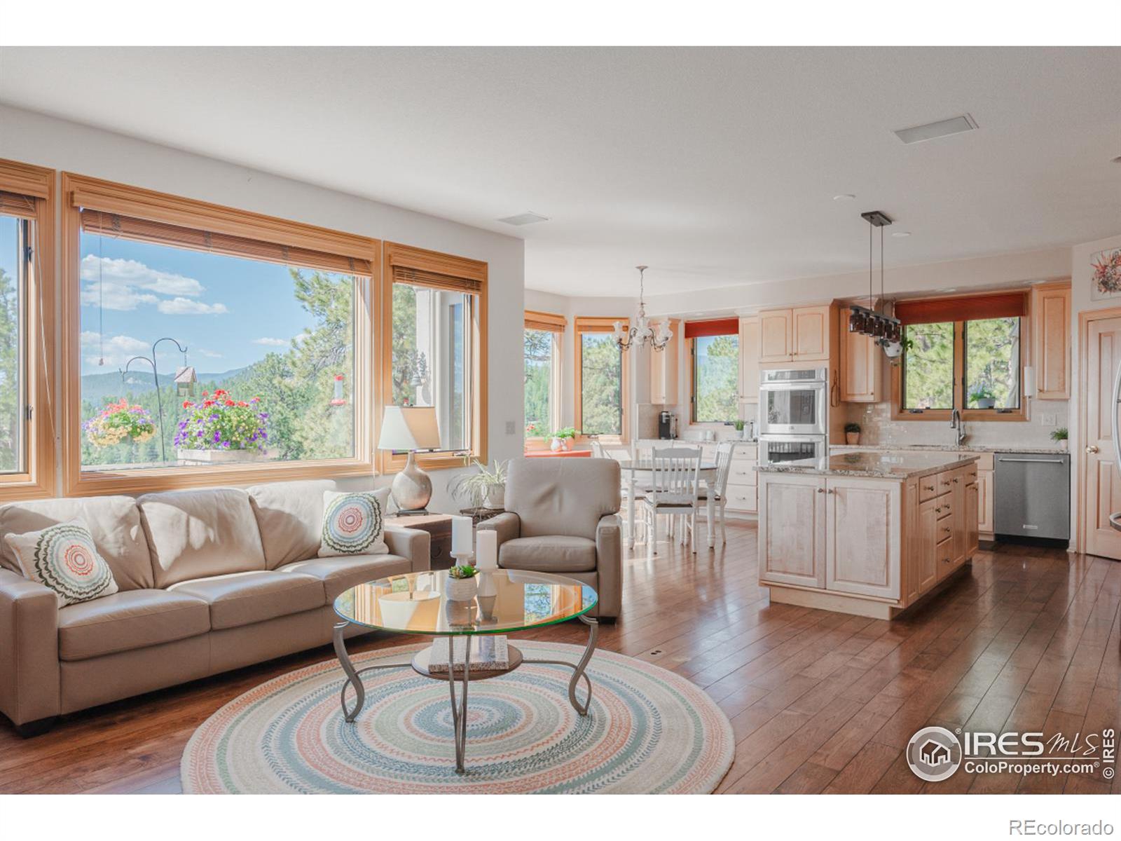 MLS Image #16 for 2964  elk view drive,evergreen, Colorado