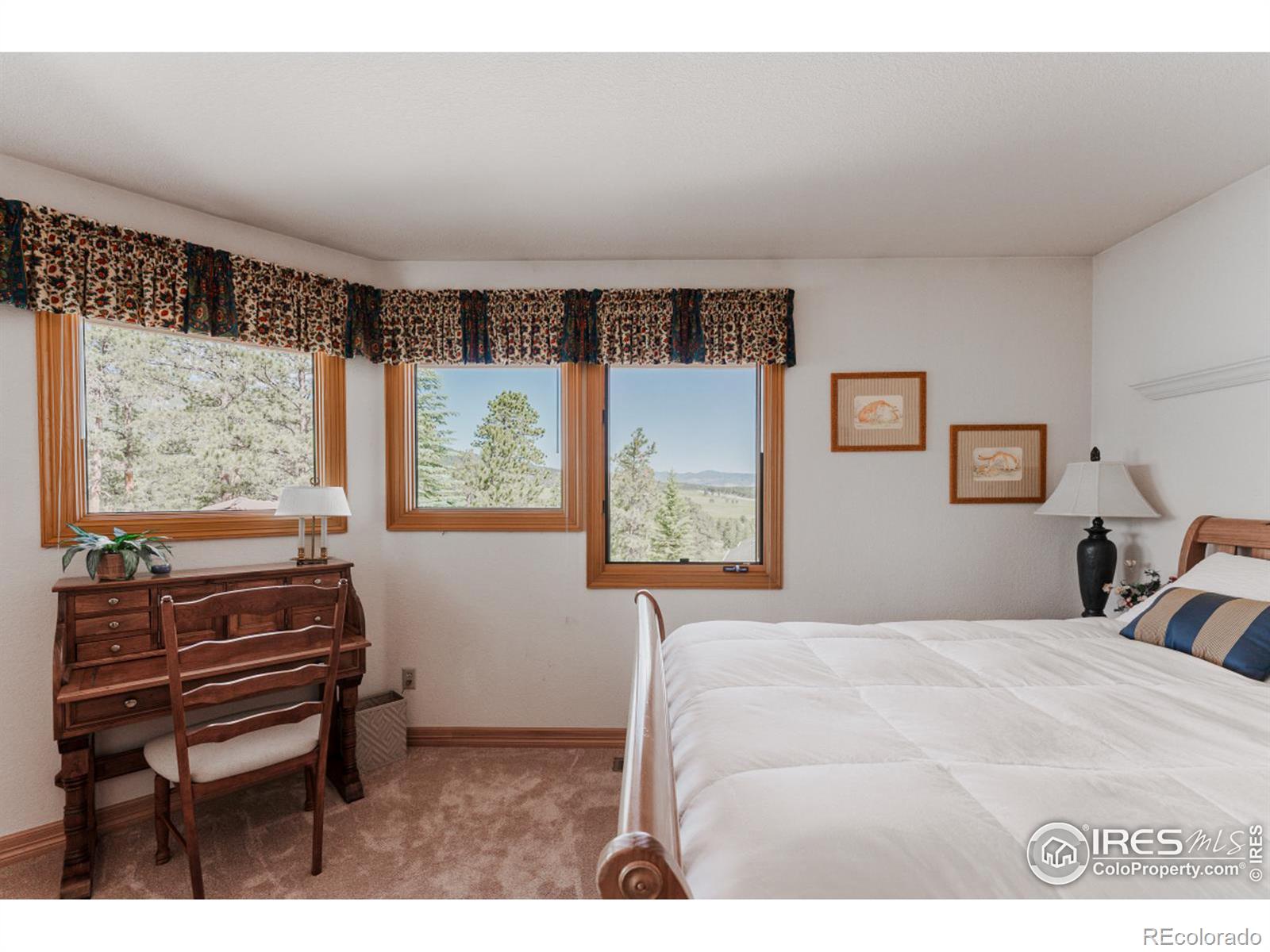 MLS Image #27 for 2964  elk view drive,evergreen, Colorado