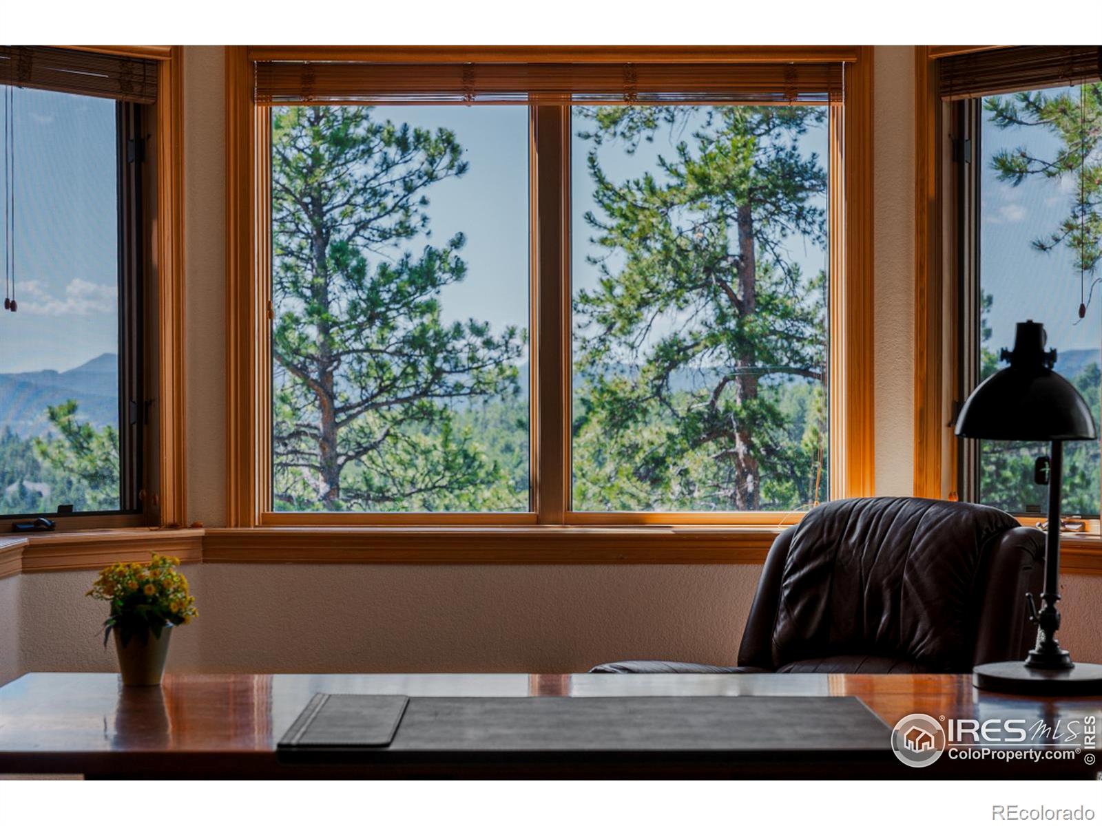 MLS Image #31 for 2964  elk view drive,evergreen, Colorado