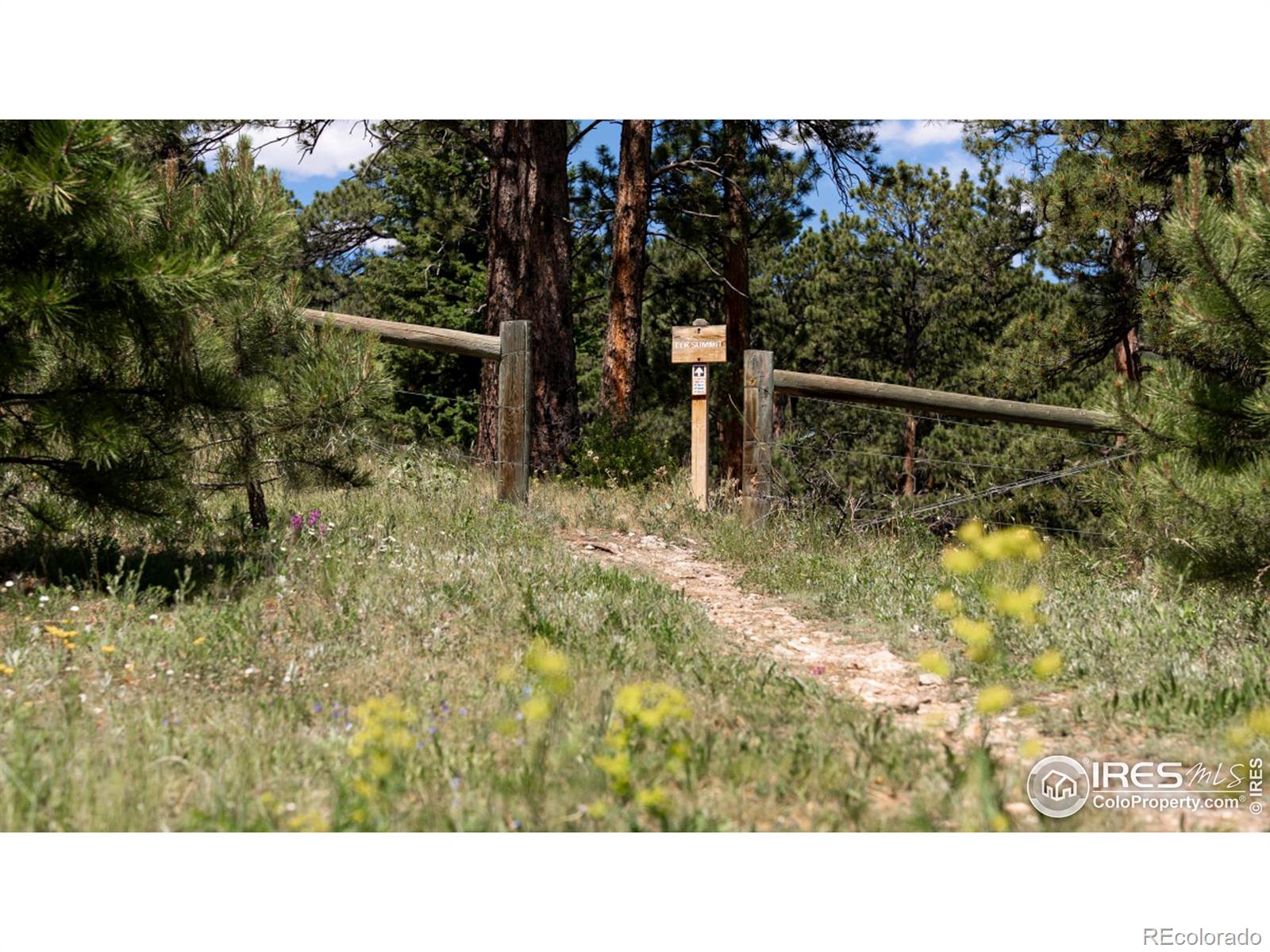 MLS Image #35 for 2964  elk view drive,evergreen, Colorado