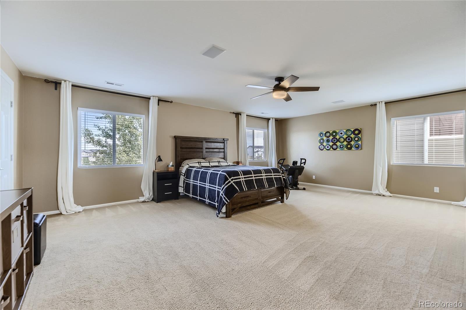 MLS Image #12 for 6245  wescroft avenue,castle rock, Colorado