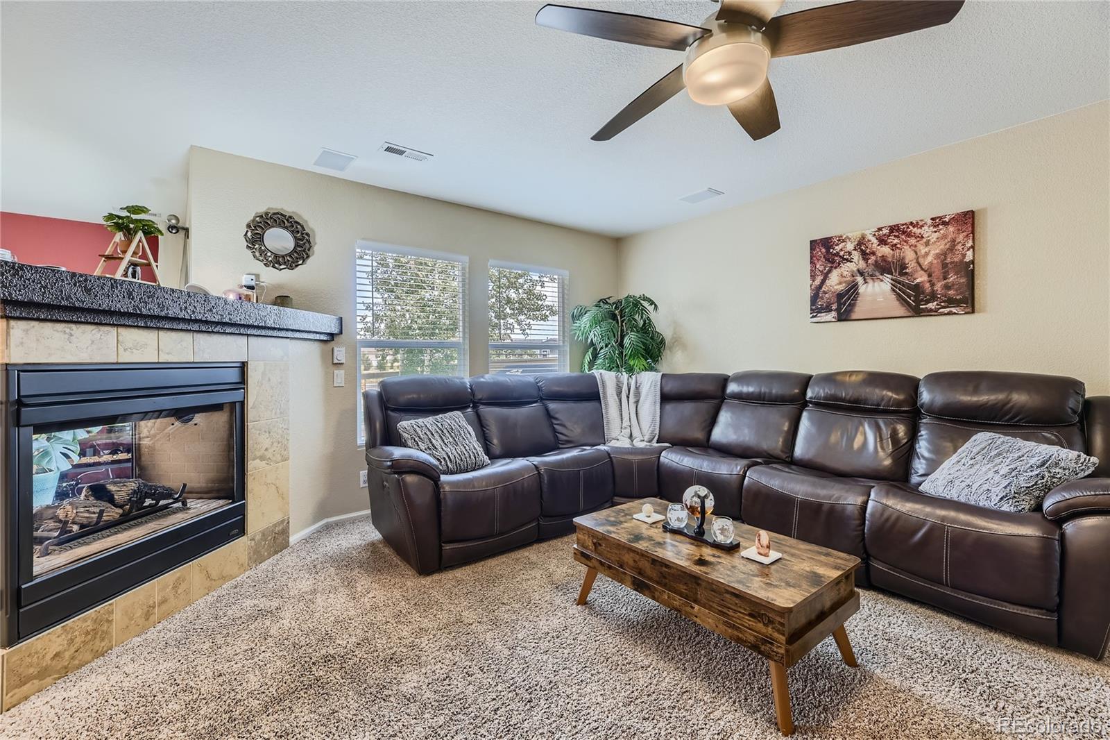 MLS Image #4 for 6245  wescroft avenue,castle rock, Colorado