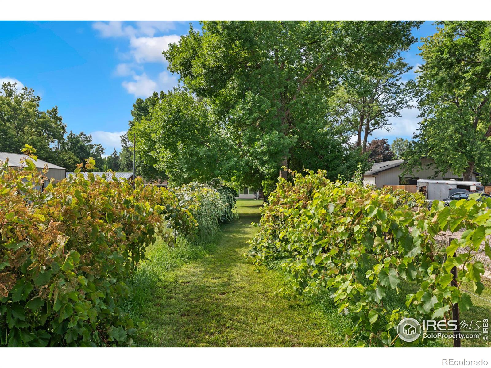 MLS Image #29 for 2424 w mulberry street,fort collins, Colorado