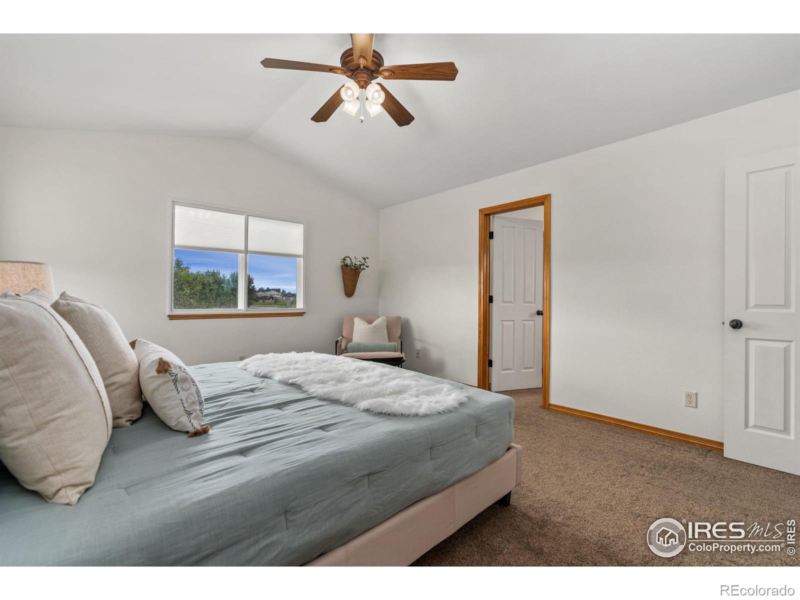 MLS Image #17 for 6679  cranesbill street,wellington, Colorado